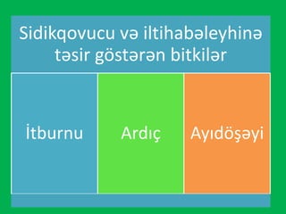 Sidikqovucu və iltihabəleyhinə
təsir göstərən bitkilər
İtburnu Ardıç Ayıdöşəyi
 
