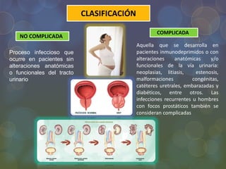 CLASIFICACIÓN
NO COMPLICADA
COMPLICADA
Proceso infeccioso que
ocurre en pacientes sin
alteraciones anatómicas
o funcionales del tracto
urinario
Aquella que se desarrolla en
pacientes inmunodeprimidos o con
alteraciones anatómicas y/o
funcionales de la vía urinaria:
neoplasias, litiasis, estenosis,
malformaciones congénitas,
catéteres uretrales, embarazadas y
diabéticos, entre otros. Las
infecciones recurrentes u hombres
con focos prostáticos también se
consideran complicadas
 