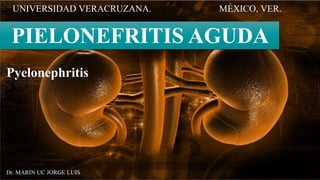 PIELONEFRITIS AGUDA
Dr. MARIN UC JORGE LUIS
UNIVERSIDAD VERACRUZANA. MÉXICO, VER.
Pyelonephritis
 