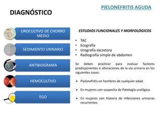 PIELONEFRITIS AGUDA
DIAGNÓSTICO
UROCULTIVO DE CHORRO
MEDIO
SEDIMIENTO URINARIO
ANTIBIOGRAMA
HEMOCULTIVO
EGO
ESTUDIOS FUNCIONALES Y MORFOLÓGICOS
• TAC
• Ecografía
• Urografía excretora
• Radiografía simple de abdomen
Se deben practicar para evaluar factores
predisponentes o alteraciones de la vía urinaria en los
siguientes casos:
 Pielonefritis en hombres de cualquier edad.
 En mujeres con sospecha de Patología urológica.
 En mujeres con historia de infecciones urinarias
recurrentes.
 