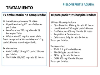 TRATAMIENTO
PIELONEFRITIS AGUDA
Tx ambulatorio no complicado:
1ª línea Fluoroquinolona TR <10%
• Ciprofloxacino 1g VO cada 24 horas
por 5 dias
• Levofloxacino 750 mg VO cada 24
horas por 7 dias
• Ofloxacino 400 mg dos veces al día
Dosis de optimización: ceftriaxona 1-2 g
cada 24 horas o aminoglucósido
Tx alternativo:
• AM-CL 875/125 mg VO cada 12 horas
por 14 dias
• TMP-SMX 160/800 mg cada 12 horas
Tx para pacientes hospitalizados:
1ª linea Fluoroquinolona
• Ciprofloxacino 400 mg IV cada 12 horas
• Levofloxacino 750 mg IV cada 24 horas
• Gatifloxacino 400 mg IV cada 24 horas
• Ampicilina + Gentamicina
• Ceftriaxona 1-2g IV cada 24 horas
Todas por 14 días
Tx alternativo
• TC-CL 3.1 g IV cada 6 horas
• AM-SB 3g IV cada 6 horas
• ERTA 1 g IV cada 24 horas
• DORI 500 mg IV cada 8 horas
Todas por 14 días
 