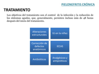 Los objetivos del tratamiento son el control de la infección y la reducción de
los síntomas agudos, que, generalmente, persisten incluso más de 48 horas
después del inicio del tratamiento.
PIELONEFRITIS CRÓNICA
TRATAMIENTO
Alteraciones
estructurales
IU en la niñez
Corrección de
defectos
anatómicos
IECAS
Antibióticos
Analgésicos y
antipiréticos
 