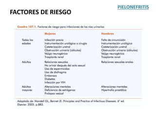 FACTORES DE RIESGO
PIELONEFRITIS
 