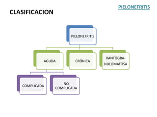 CLASIFICACION
PIELONEFRITIS
AGUDA
COMPLICADA
NO
COMPLICADA
CRÓNICA
XANTOGRA-
NULOMATOSA
PIELONEFRITIS
 