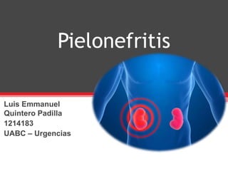 Pielonefritis
Luis Emmanuel
Quintero Padilla
1214183
UABC – Urgencias
 