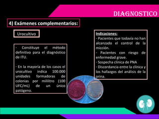 DIAGNOSTICO
4) Exámenes complementarios:
Urocultivo
- Constituye el método
definitivo para el diagnóstico
de ITU.
- En la ...