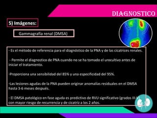 DIAGNOSTICO
5) Imágenes:
Gammagrafía renal (DMSA))
- Es el método de referencia para el diagnóstico de la PNA y de las cic...