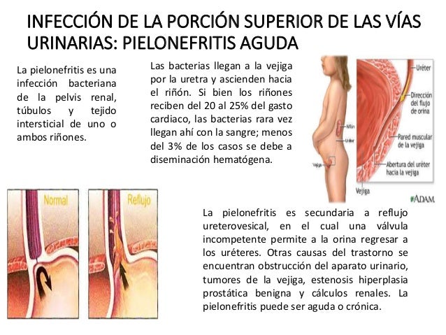 Los indicios de la dependencia alcohólica a la persona