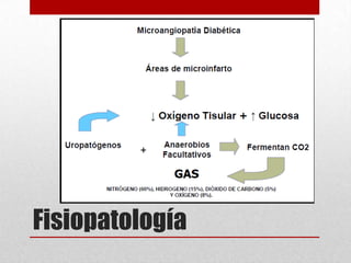 Fisiopatología
 