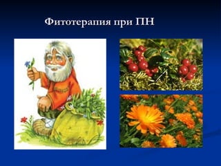 Фитотерапия при ПН
Фитотерапия при ПН
 