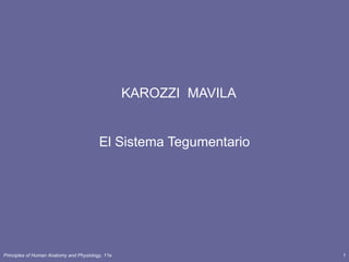 KAROZZI MAVILA


                                         El Sistema Tegumentario




Principles of Human Anatomy and Physiology, 11e                    1
 