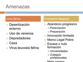 Productos Dermatologicamente testados