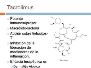 Productos Dermatologicamente testados