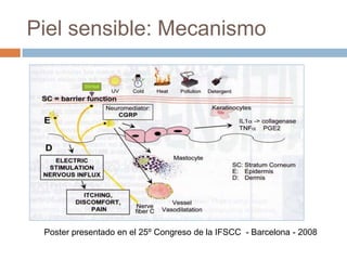 Productos Dermatologicamente testados