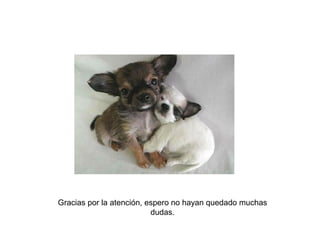 Gracias por la atención, espero no hayan quedado muchas
dudas.
 