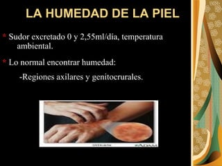 LA HUMEDAD DE LA PIEL *   Sudor excretado 0 y 2,55ml/día, temperatura ambiental. *   Lo normal encontrar humedad: -Regiones axilares y genitocrurales. 