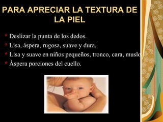 PARA APRECIAR LA TEXTURA DE LA PIEL *  Deslizar la punta de los dedos. *  Lisa, áspera, rugosa, suave y dura. *  Lisa y suave en niños pequeños, tronco, cara, muslo *  Áspera porciones del cuello. 