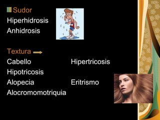 Sudor Hiperhidrosis Anhidrosis Textura  Cabello  Hipertricosis Hipotricosis Alopecia Eritrismo Alocromomotriquia 