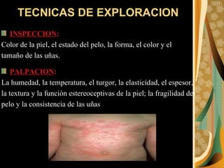 TECNICAS DE EXPLORACION INSPECCION :   Color de la piel, el estado del pelo, la forma, el color y el  tamaño de las uñas. PALPACION :   La humedad, la temperatura, el turgor, la elasticidad, el espesor,  la textura y la función estereoceptivas de la piel; la fragilidad del  pelo y la consistencia de las uñas 