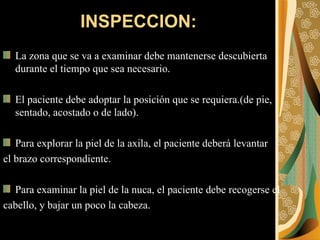 INSPECCION: La zona que se va a examinar debe mantenerse descubierta durante el tiempo que sea necesario. El paciente debe adoptar la posición que se requiera.(de pie, sentado, acostado o de lado). Para explorar la piel de la axila, el paciente deberá levantar  el brazo correspondiente. Para examinar la piel de la nuca, el paciente debe recogerse el  cabello, y bajar un poco la cabeza. 