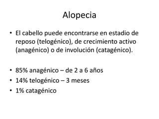 Alopecia 
• El cabello puede encontrarse en estadio de 
reposo (telogénico), de crecimiento activo 
(anagénico) o de involución (catagénico). 
• 85% anagénico – de 2 a 6 años 
• 14% telogénico – 3 meses 
• 1% catagénico 
 