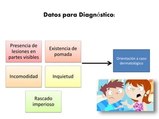 Datos para Diagnóstico: 
Presencia de 
lesiones en 
partes visibles 
Existencia de 
pomada 
Incomodidad Inquietud 
Rascado 
imperioso 
Orientación a caso 
dermatológico 
 
