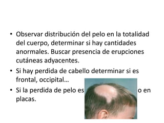 • Observar distribución del pelo en la totalidad 
del cuerpo, determinar si hay cantidades 
anormales. Buscar presencia de erupciones 
cutáneas adyacentes. 
• Si hay perdida de cabello determinar si es 
frontal, occipital… 
• Si la perdida de pelo es difusa, localizada o en 
placas. 
 