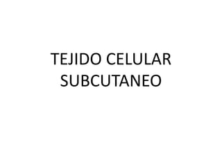 TEJIDO CELULAR 
SUBCUTANEO 
 