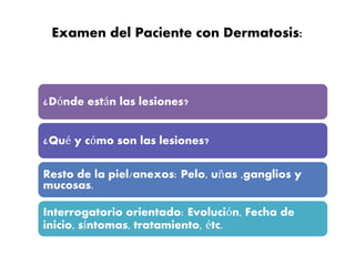 Examen del Paciente con Dermatosis: 
¿Dónde están las lesiones? 
¿Qué y cómo son las lesiones? 
Resto de la piel/anexos: Pelo, uñas ,ganglios y 
mucosas. 
Interrogatorio orientado: Evolución, Fecha de 
inicio, síntomas, tratamiento, étc. 
 