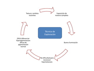 Exposición de 
manera completa 
Buena iluminación 
No dificultad para 
reconocer 
hipomelanosis 
Difícil diferenciar 
hiperpigmentacion 
difusa de 
pigmentación 
normal 
Textura: cambios 
recientes 
Técnica de 
Exploración 
 