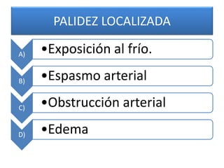 PALIDEZ LOCALIZADA 
A) •Exposición al frío. 
B) •Espasmo arterial 
C) •Obstrucción arterial 
D) •Edema 
 