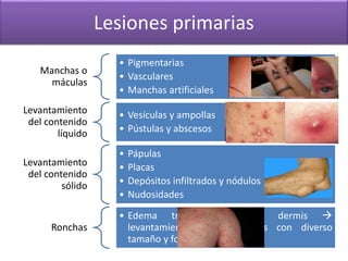 Manchas o 
máculas 
Lesiones primarias 
• Pigmentarias 
• Vasculares 
• Manchas artificiales 
Levantamiento 
del contenido 
líquido 
• Vesículas y ampollas 
• Pústulas y abscesos 
Levantamiento 
del contenido 
sólido 
• Pápulas 
• Placas 
• Depósitos infiltrados y nódulos 
• Nudosidades 
Ronchas 
• Edema transitorio de la dermis  
levantamientos mal definidos con diverso 
tamaño y forma. 
 