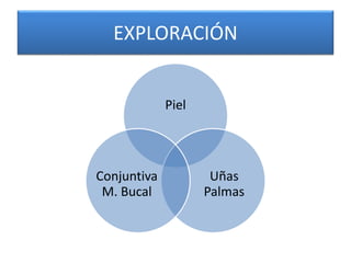 EXPLORACIÓN 
Piel 
Uñas 
Palmas 
Conjuntiva 
M. Bucal 
 