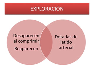 EXPLORACIÓN 
Desaparecen 
al comprimir 
Reaparecen 
Dotadas de 
latido 
arterial 
 