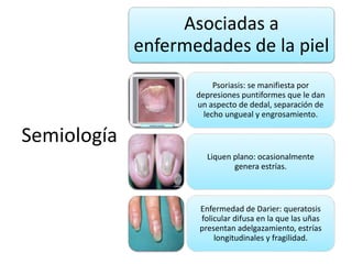Semiología 
Asociadas a 
enfermedades de la piel 
Psoriasis: se manifiesta por 
depresiones puntiformes que le dan 
un aspecto de dedal, separación de 
lecho ungueal y engrosamiento. 
Liquen plano: ocasionalmente 
genera estrías. 
Enfermedad de Darier: queratosis 
folicular difusa en la que las uñas 
presentan adelgazamiento, estrías 
longitudinales y fragilidad. 
 