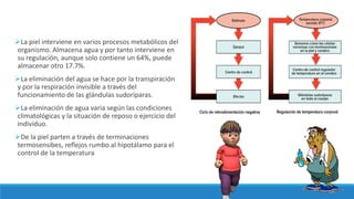 La piel interviene en varios procesos metabólicos del
organismo. Almacena agua y por tanto interviene en
su regulación, aunque solo contiene un 64%, puede
almacenar otro 17.7%.
La eliminación del agua se hace por la transpiración
y por la respiración invisible a través del
funcionamiento de las glándulas sudoríparas.
La eliminación de agua varia según las condiciones
climatológicas y la situación de reposo o ejercicio del
individuo.
De la piel parten a través de terminaciones
termosensibes, reflejos rumbo al hipotálamo para el
control de la temperatura
 