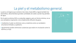 La piel y el metabolismo general.
La piel es el órgano que contiene más cloro, hasta 60% y regula también los
electrólitos, desechándose grandes cantidades de sodio cuando hay pérdida
de agua.
Por la piel se elimina CO2 y se absorbe oxígeno, pero en forma mínima; no es
una verdadera respiración, sino simplemente difusión de gases.
mediante el sudor se eliminan urea y creatinina como un verdadero
emuntorio limitado y supletorio.
Igualmente pueden eliminarse sustancias que están en circulación como la
tiamina y el ajo.
 