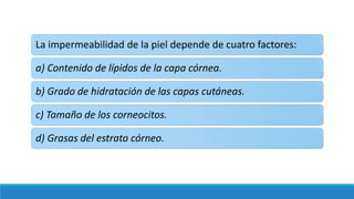 La impermeabilidad de la piel depende de cuatro factores:
a) Contenido de lípidos de la capa córnea.
b) Grado de hidratación de las capas cutáneas.
c) Tamaño de los corneocitos.
d) Grasas del estrato córneo.
 