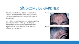 SÍNDROME DE GARDNER
Es una variante de la poliposis adenomatosa
familiar. Pueden presentar hallazgos cutáneos
como tumores cutáneos o quistes epidérmicos
de inclusión.
Los quistes pueden aparecer en cualquier parte y
pueden presentarse antes que los pólipos
intestinales. Estos quistes son generalmente
asintomáticos, pero pueden causar prurito,
inflamarse y romperse.
 