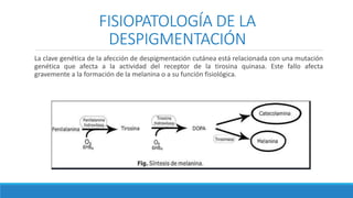 FISIOPATOLOGÍA DE LA
DESPIGMENTACIÓN
La clave genética de la afección de despigmentación cutánea está relacionada con una mutación
genética que afecta a la actividad del receptor de la tirosina quinasa. Este fallo afecta
gravemente a la formación de la melanina o a su función fisiológica.
 