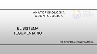 EL SISTEMA
TEGUMENTARIO
ANATOFISIOL OGIA
ODONTOL ÓGICA
DR. ROBERT AUCANCELA MORA
 