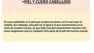 PIEL Y CUERO CABELLUDO.pptx