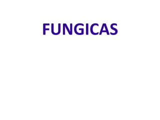 FUNGICAS
 