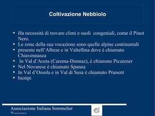 Coltivazione Nebbiolo Ha necessità di trovare climi e suoli  congeniali, come il Pinot Nero. Le zone della sua vocazione sono quelle alpine continentali  presente nell’Albese e in Valtellina dove è chiamato Chiavennasca  In Val d’Aosta (Carema-Donnaz), è chiamato Picutener Nel Novarese è chiamato Spanna  In Val d’Ossola e in Val di Susa è chiamato Prunent biotipi 