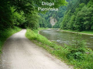 Droga Pienińska 