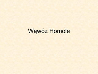 Wąwóz Homole 