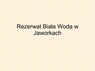 Rezerwat Biała Woda w Jaworkach 