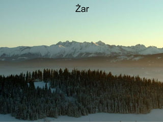 Żar 