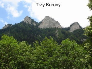 Trzy Korony 