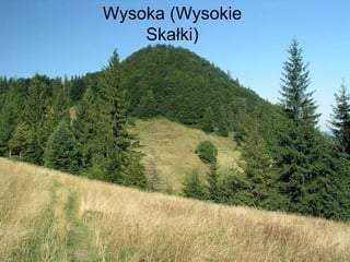Wysoka (Wysokie Skałki) 
